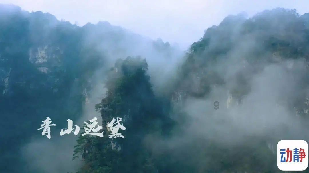 旋转轮胎